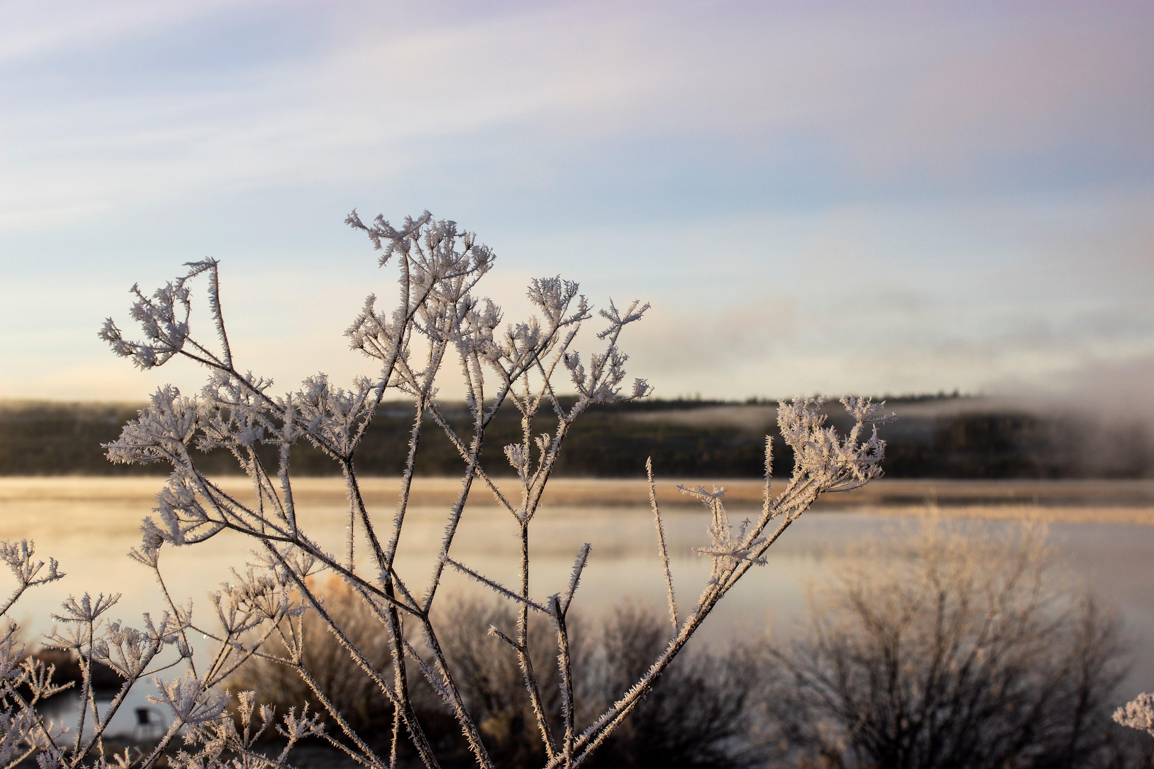 Välkommen att bo, leva och verka i Malåbygden