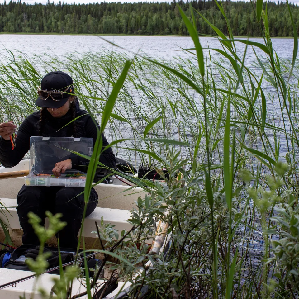 en person som sitter i en båt med en fiskelåda
