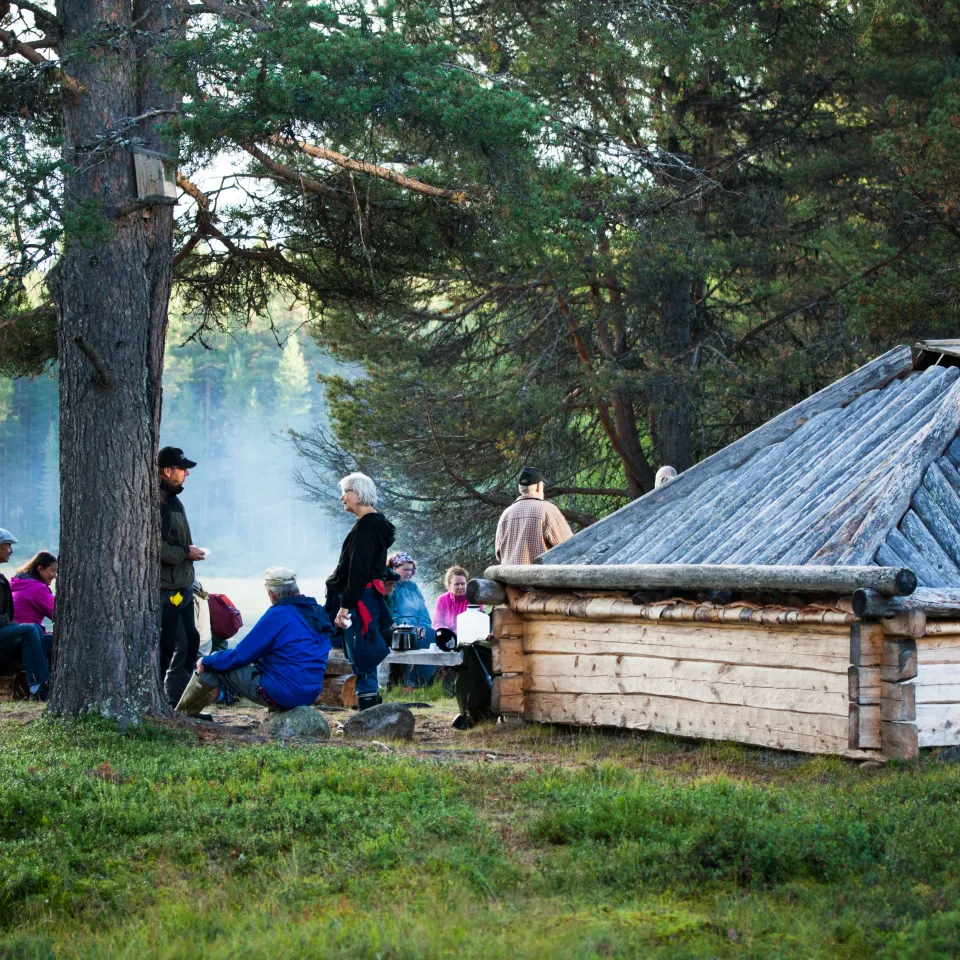 Människor som besöker, Koppsele sameviste i Malåbygden