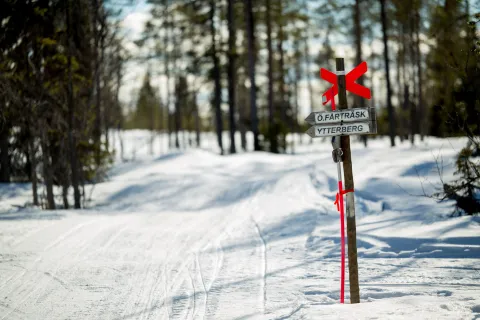 Vy över skoterled