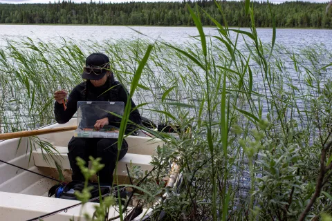 en person som sitter i en båt med en fiskelåda