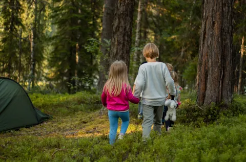 Fyra barn går på en stig i en grön skog nära ett grönt tält; ett barn bär en vit nalle.