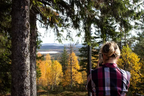 en person som tar en bild av ett landskap